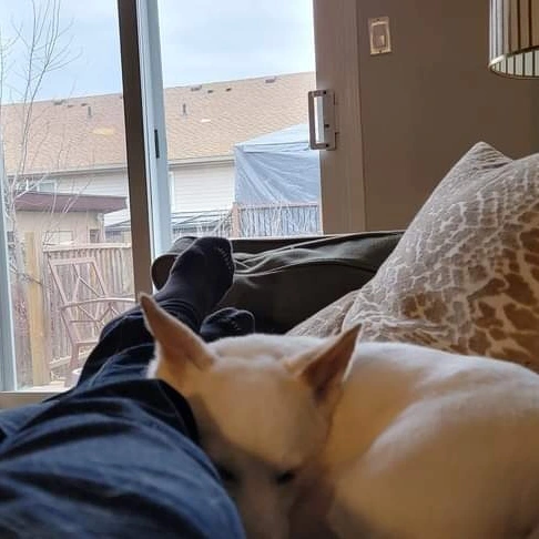 [해외입양] 캐나다 토론토에서 가족을 만난 '장나라'