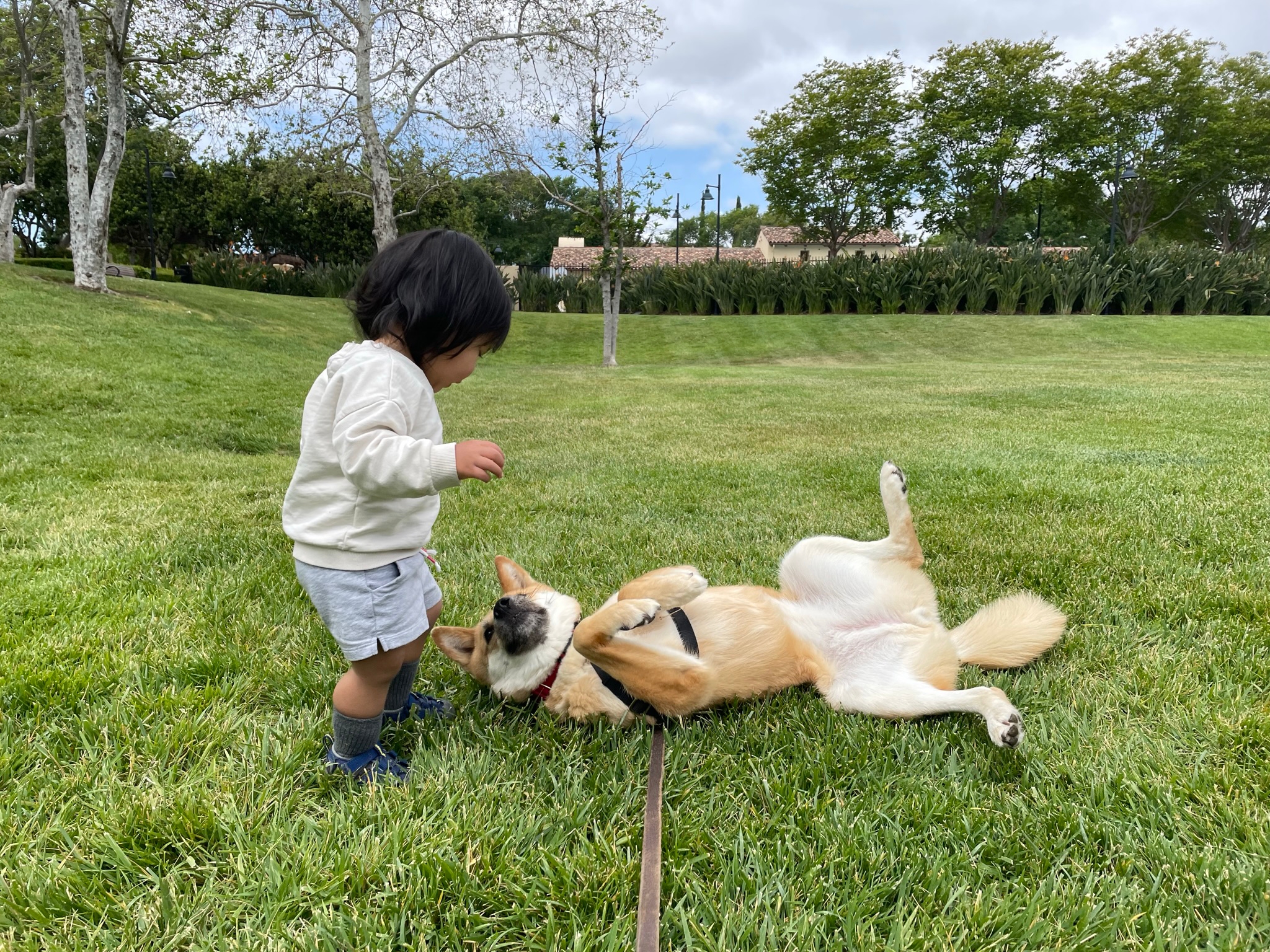 [해외입양] 가족과 행복한 시간을 보내는 '해순이'