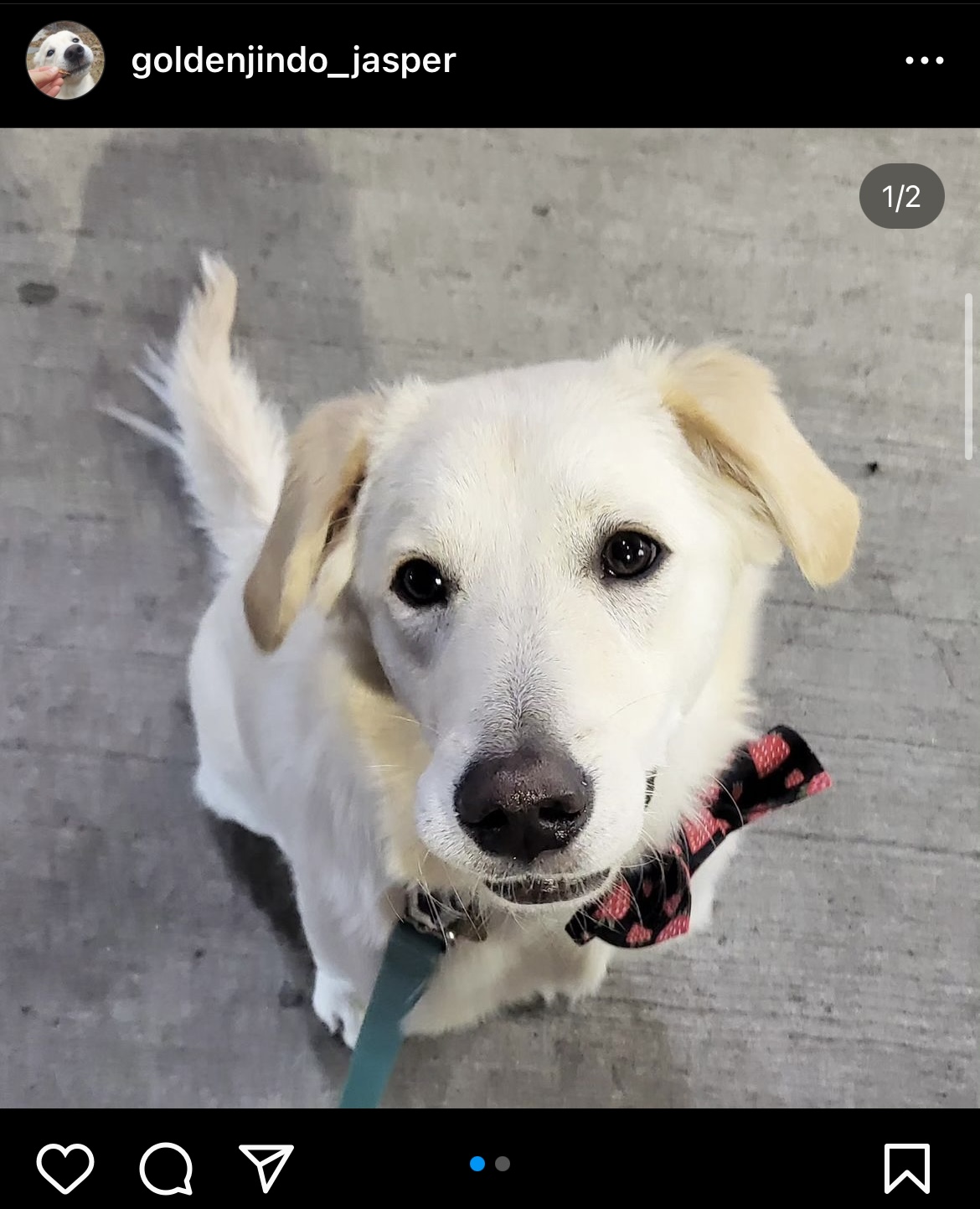 [해외입양] 캐나다 토론토에서 가족을 만난 '일온이'