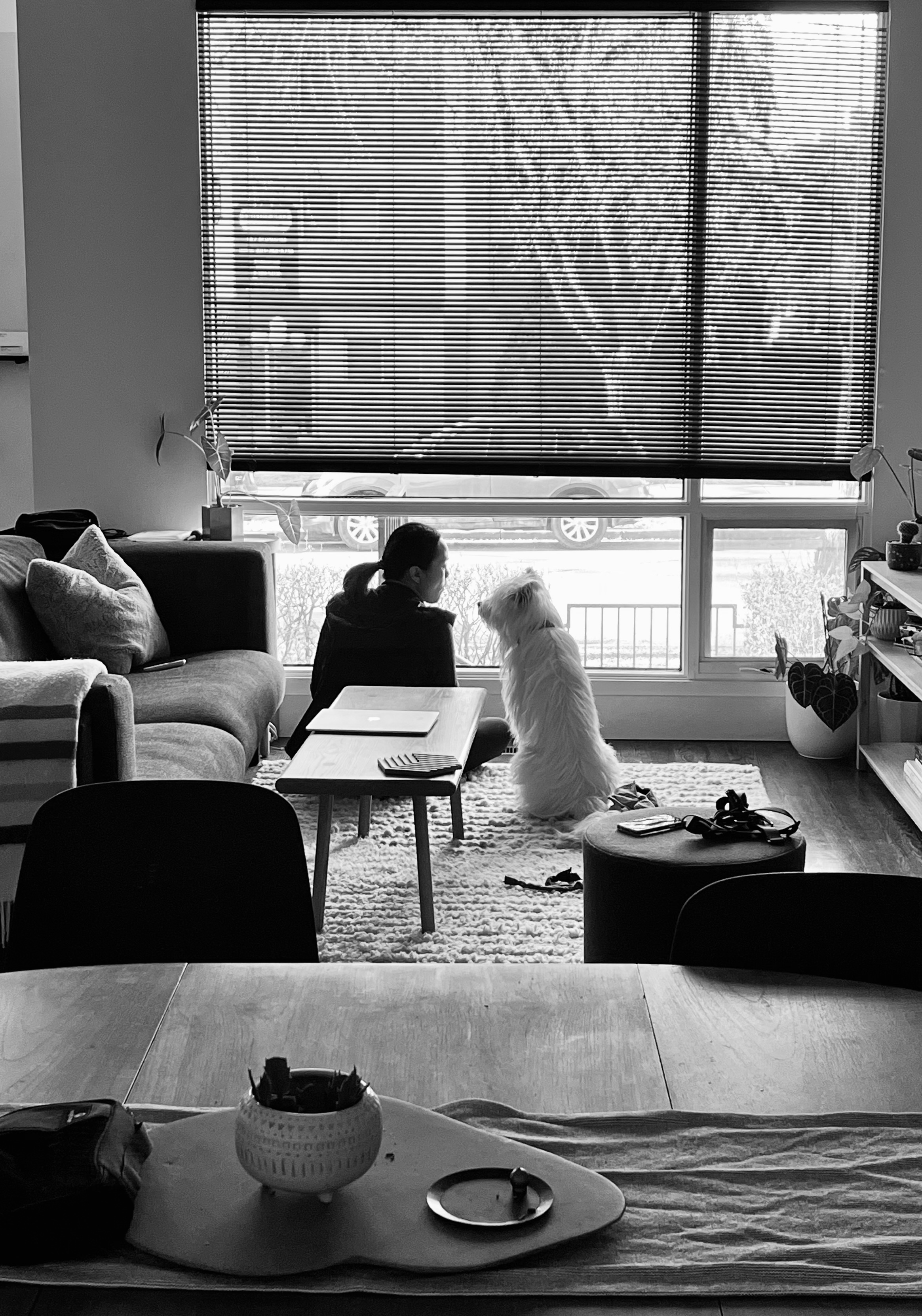 [해외입양] 캐나다 캘거리에서 가족을 만난 '백사'