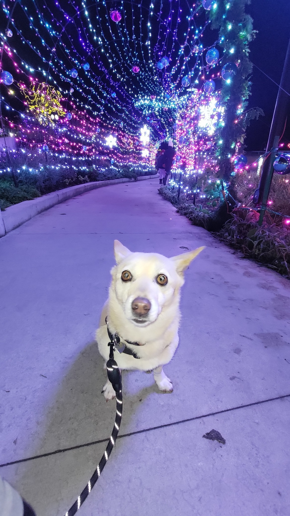 [해외입양] 캐나다 밴쿠버에서 가족을 만난 '진다'
