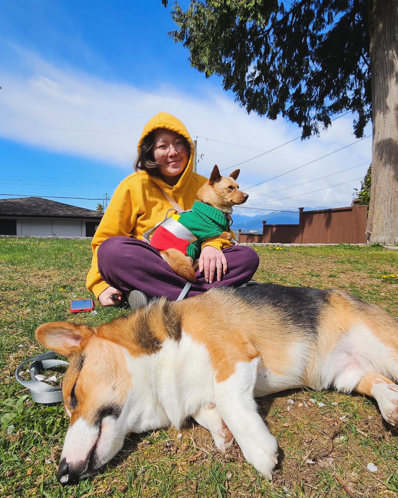 [해외입양] 캐나다 밴쿠버에서 가족을 만난 '하뚜'