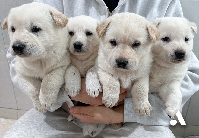 목을 조이는 고통 속에서 지켜낸 여섯 생명