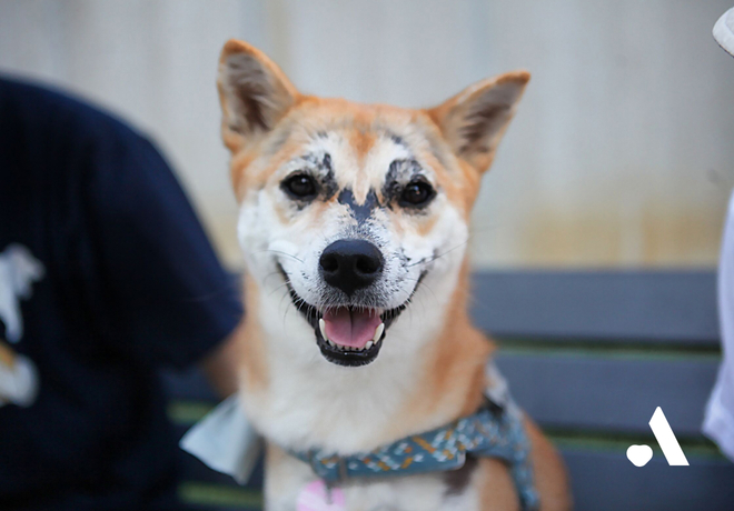 ‘세상 단 하나 뿐인 너’ 캠페인 영상🎥