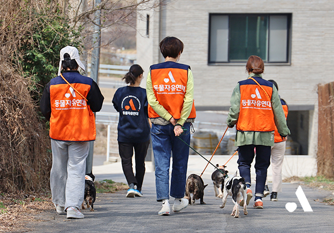 [봉사] 새해를 여는 방법! 2026년 1월, 정기봉사자를 모집합니다!✨