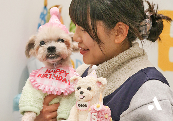 머야가 구조된지 10년, 생일파티를 열었습니다.