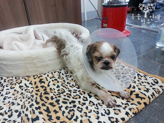 호 ~~~ 랭이 할아버지 돌보기~!