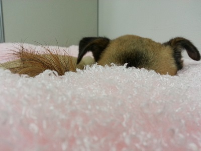 제가 누군지 궁금하시면 두루와바염~~~~ 언능 두루와염~~