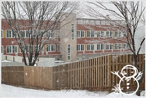 눈이 펑펑 쏟아지는 반려동물복지센터 ~~~