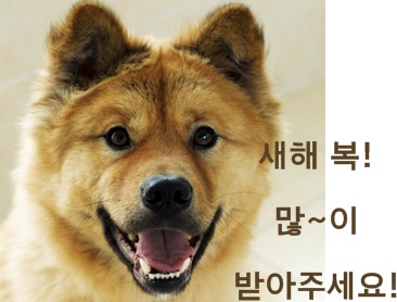 2014년 한 해, 반려동물복지센터에 보내주신 뜨거운 사랑! 잊지 않겠습니다!