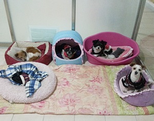 센터의 마감시간이 다가오면.. 