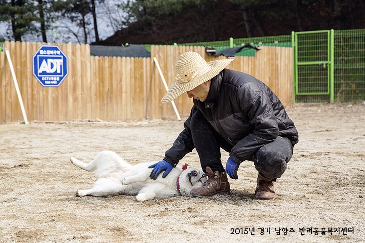 [Animal Home Essay]버려진 동물들에게도 봄의 온도계는 오른다