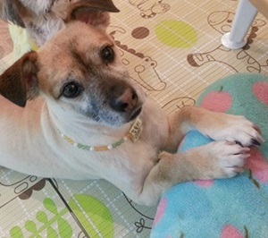 아자아자 화이팅 개 갑또뤼~ !