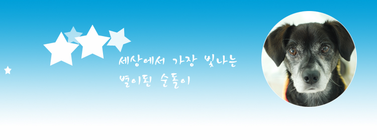 순돌이와 베르가 별이되었습니다.