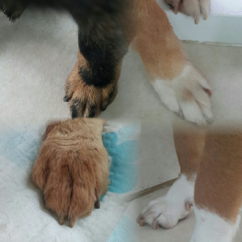 남량특집 심쿵시리즈 1탄 - 내 다리 내놔 ~~