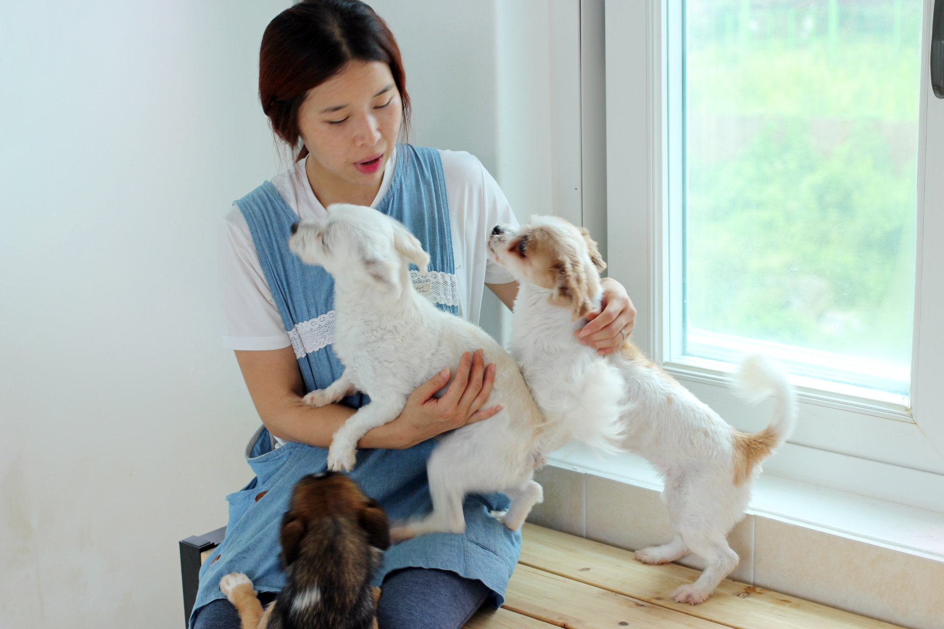 센터 강아지들의 벤치 사용법