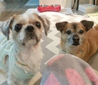 의외로 잘 어울리는 대갑이 커플~~ 