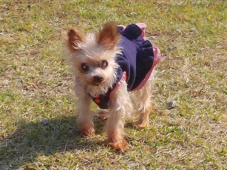 세상에서 가장 작고 예쁜 별이된 은별이