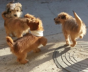 2016년의 시작을 즐겁게 활기차게 ~~!