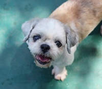 무더운 여름에는 <개미산> 대신 <개중산>입니다 ~~~