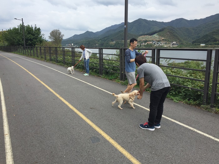 기다리고 기다리던 '개미산' 이 돌아왔습니다~
