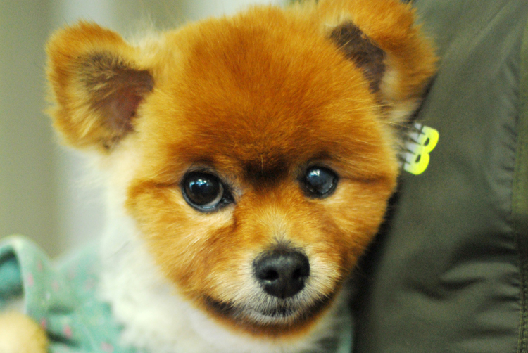 미소 할머니 약먹이기