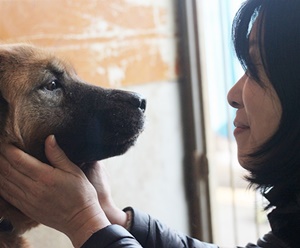 황금 개 버스커, 올해는 너의 해가 될거야