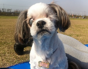 열심히 사랑하고 사랑받으며 오늘도 ok 