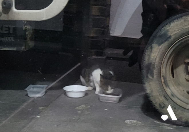 [쓰담쓰담] 이 할미에게 마음을 내어주렴 애지