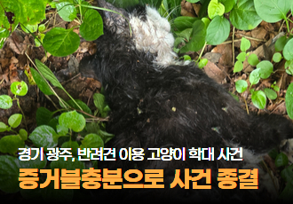 [동물 학대] 경기도 광주, 반려견에게 물려 죽은 고양이 ‘까미’ 사건, 증거불충분으로 사건 종결