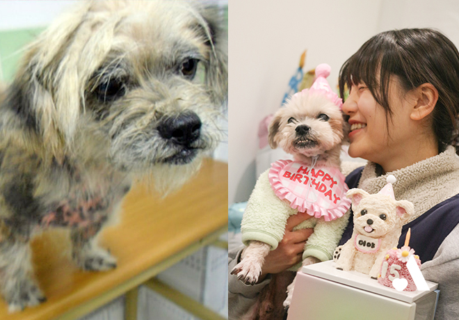 활동가가 머야에게 보내는 편지