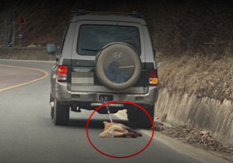 “몰랐다”고 하면 무혐의?! 죽음의 달리기, 이제는 끝내야 합니다.