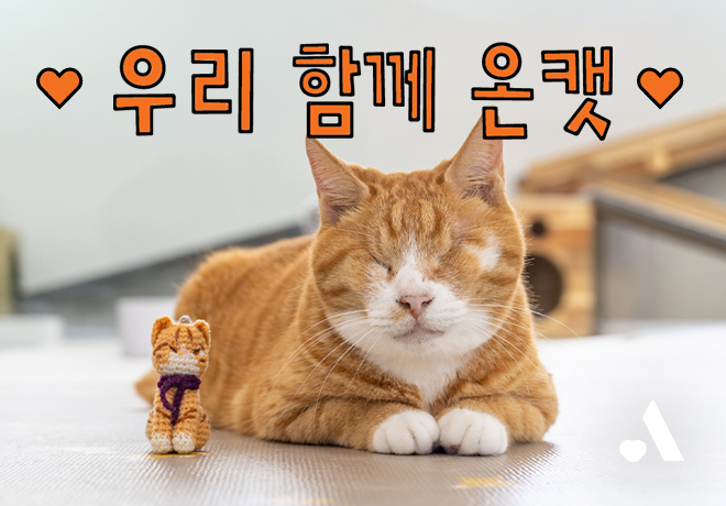 우리 함께 온캣! 지인과 함께 결연동물 만나러 오세요👭