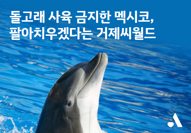 돌고래 사육 금지한 멕시코, 팔아치우겠다는 거제씨월드