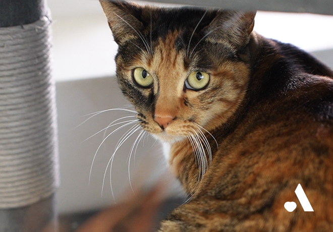 조금씩 마음의 문을 열고 있는 단풍이