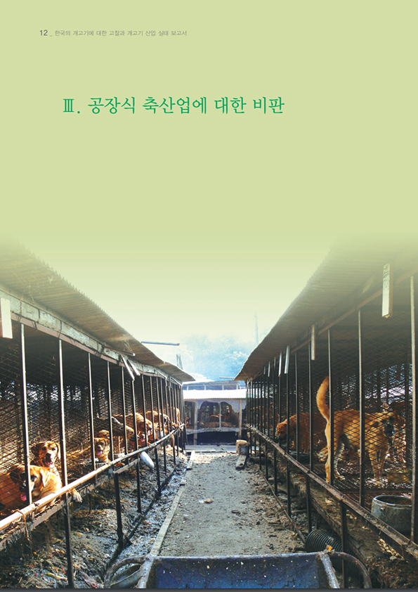 [보고서] 한국의 개고기에 대한 고찰과 개고기 산업 실태 조사 보고서