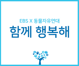 [EBS X 동물자유연대] 세상에 버려질 개는 없다.