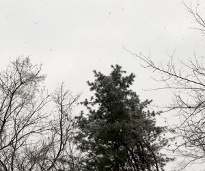 센터에 하얀 눈이 펑펑 와요~!