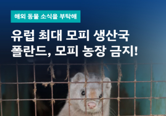 [해외 동물 소식을 부탁해] 유럽 최대 모피 생산국 폴란드, 모피 농장 금지! 
