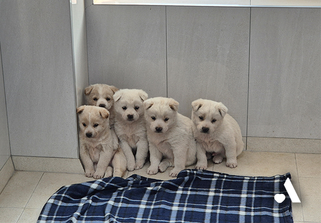 니씨네 가족을 찾아서