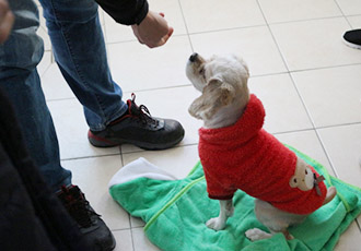 동물복지 향상을 위한 활동가 심층 교육 2탄 - 반려동물 행동교정