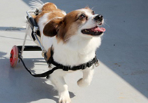 해가 좋은 날, 모두의 기분도 맑음!