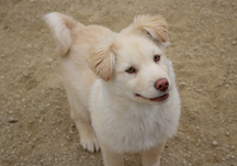 개발바닥 흙발바닥! 우리는 흙바닥이 좋아요!