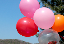 냥이야, 내 마음을 받아줘!