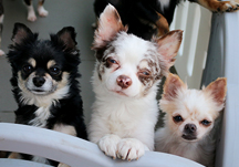 몸 튼튼, 마음 튼튼! 오늘은 영양만점 특식 먹는 날!