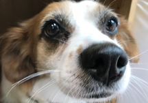 바겐이 휠체어 수리 대작전!