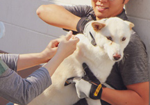 💉 2019년 10월 16일 전체 접종이 진행되었습니다 👩‍⚕