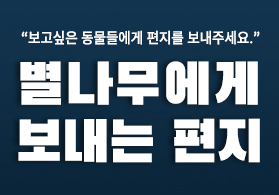 별나무에게 편지를 보내주세요!