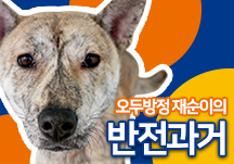 반전 과거를 가진 재순이 이야기