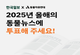 [동물자유연대X한국일보] 2025 올해의 동물뉴스에 투표해주세요!